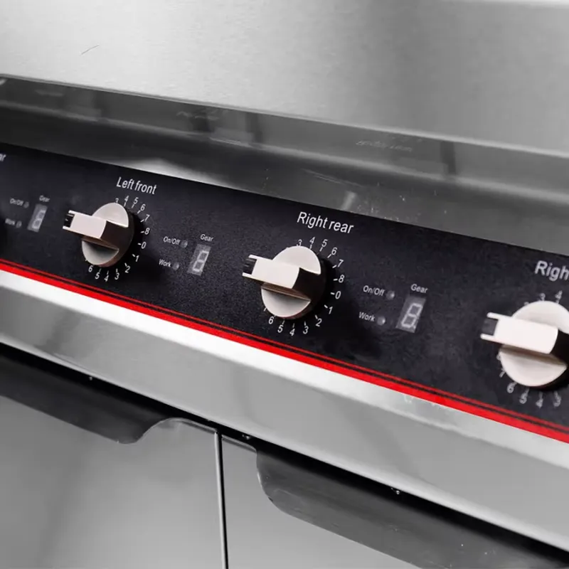 5000W Commercial Dual Burner I - Commercial Kitchen Induction review and price