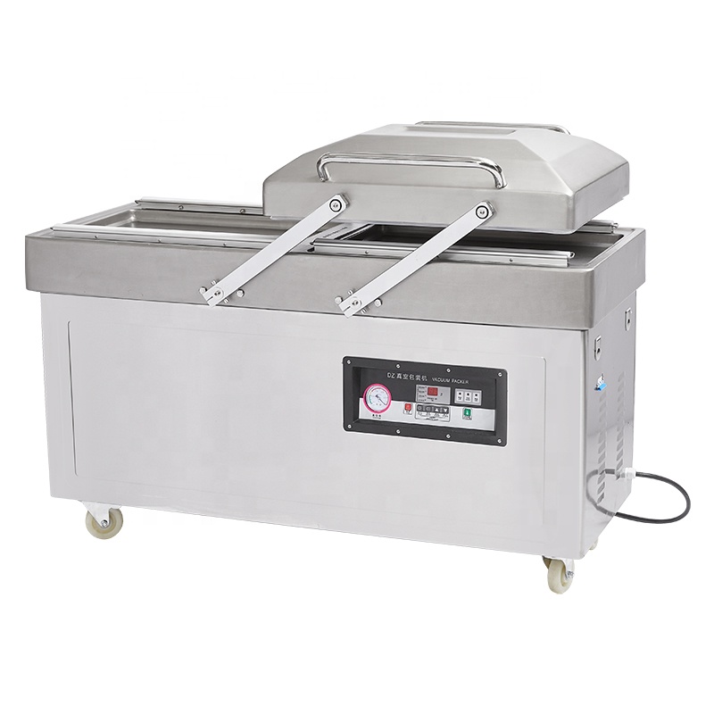 Fubei DZ-600/2SA Deep Type Dou - Vacuum Sealer review and price
